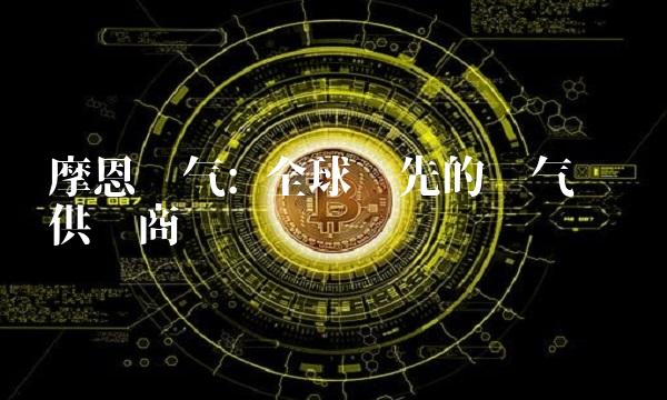 摩恩电气 全球领先的电气设备供应商