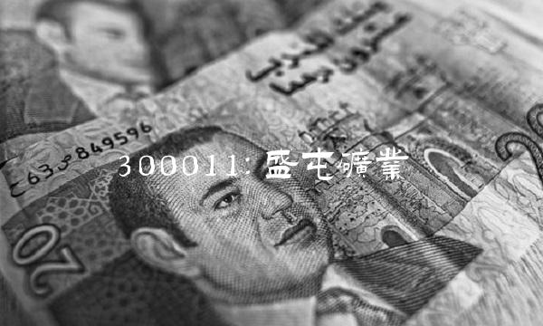 300011：盛屯矿业
