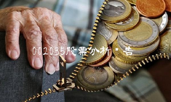 002035股票分析报告(1)