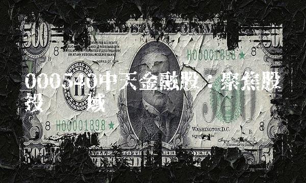 000540中天金融股：聚焦股权投资领域