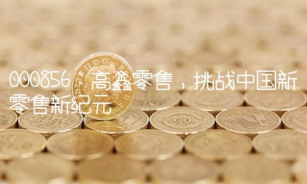 000856：高鑫零售，挑战中国新零售新纪元