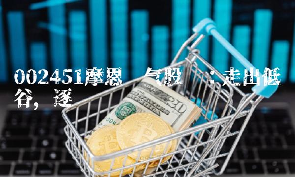 002451摩恩电气股吧：走出低谷，逐渐复苏