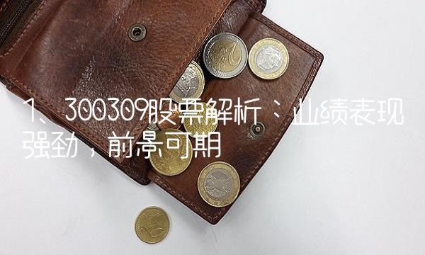 1. 300309股票解析：业绩表现强劲，前景可期