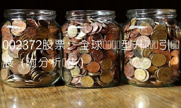 002372股票：全球邮轮业转型升级趋势引领发展（附分析报告）