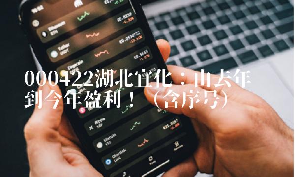 000422湖北宜化：由去年亏损到今年盈利！（含序号）