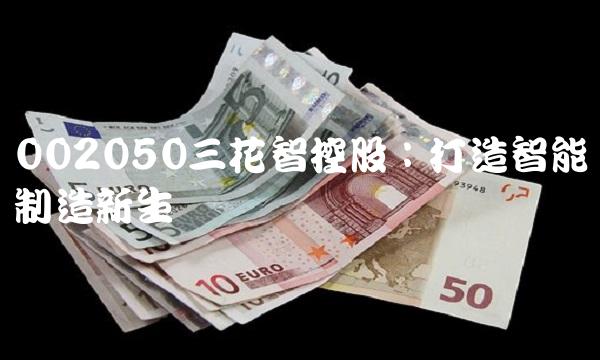 002050三花智控股：打造智能制造新生态