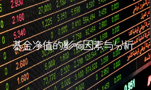 基金净值的影响因素与分析
