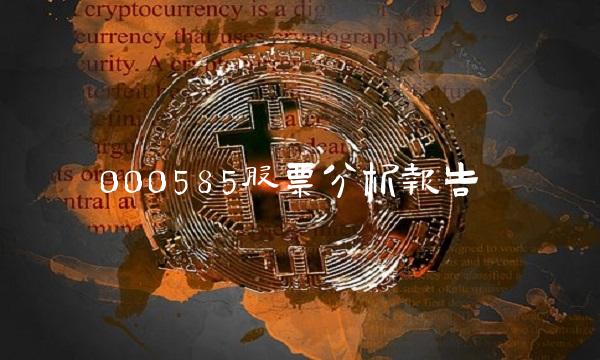 000585股票分析报告