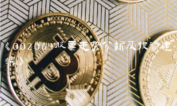 《002069股票走势分析及投资建议》