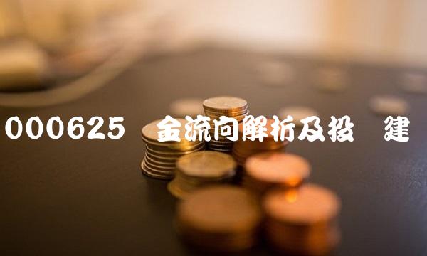 000625资金流向解析及投资建议