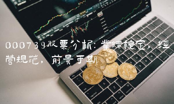000739股票分析：业绩稳定，经营规范，前景可期