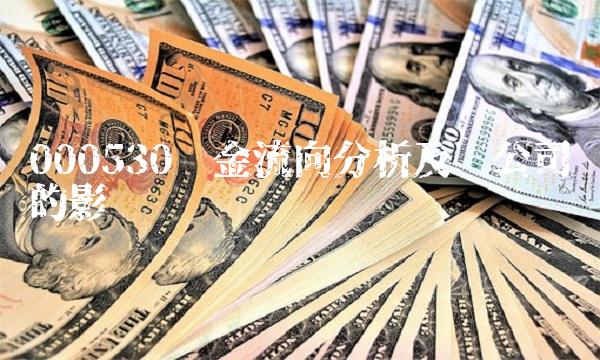 000530资金流向分析及对公司的影响