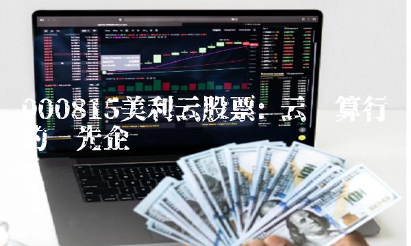 000815美利云股票 云计算行业的领先企业