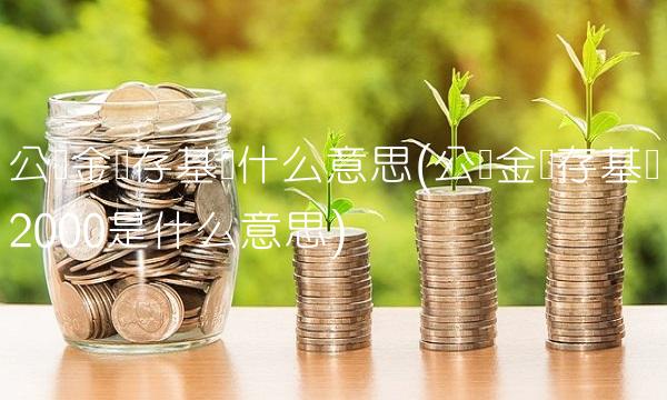 公积金缴存基数什么意思(公积金缴存基数2000是什么意思)