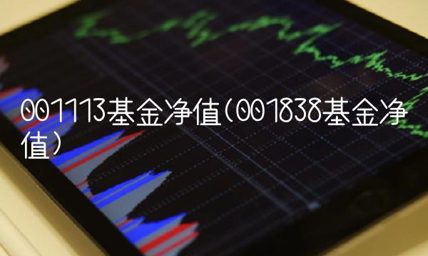 001113基金净值(001838基金净值)