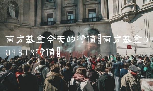 南方基金今天的净值(南方基金009318净值)