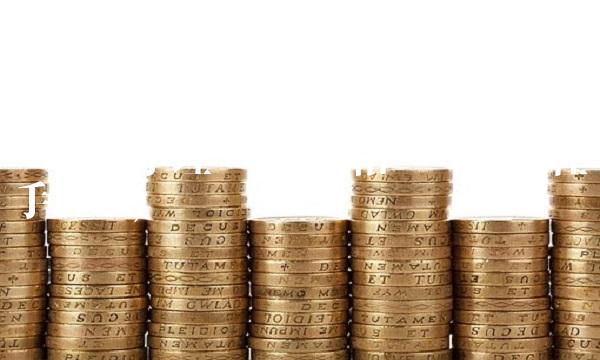 一鸟在手理论(股利相关论一鸟在手理论)