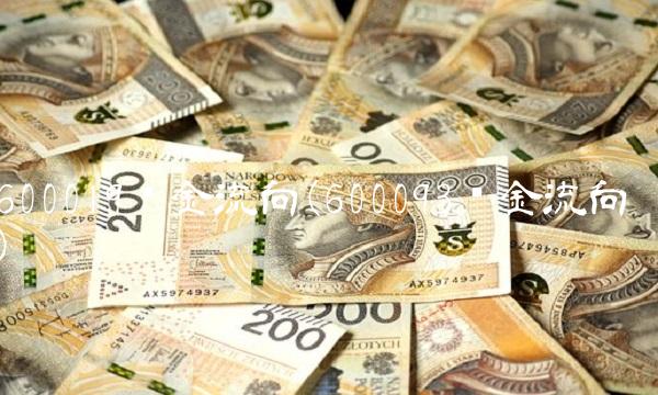 600019资金流向(600093资金流向)