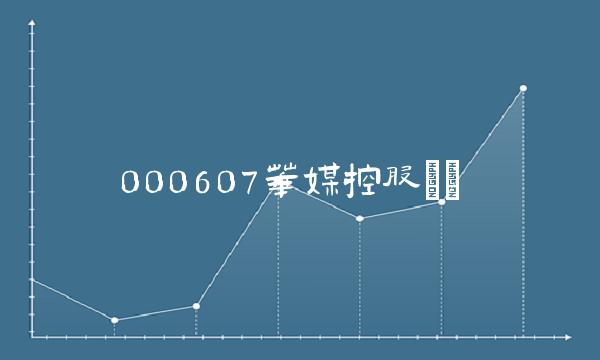 000607华媒控股()