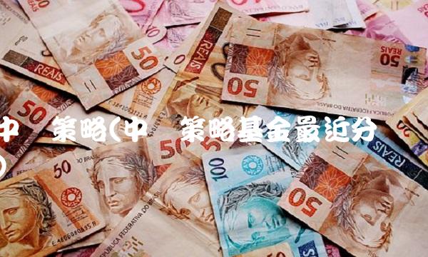 中银策略(中银策略基金最近分红)