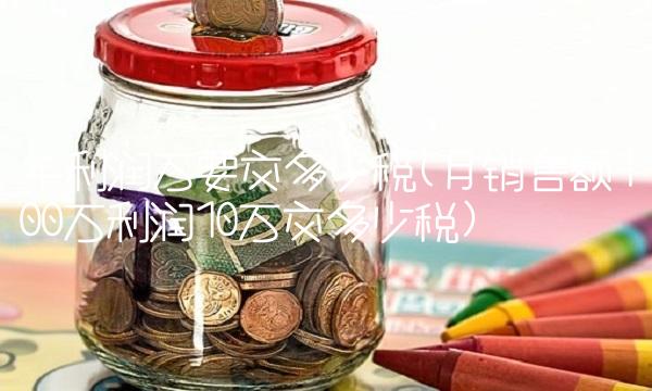 年利润万要交多少税(月销售额100万利润10万交多少税)