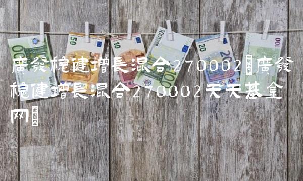 广发稳健增长混合270002(广发稳健增长混合270002天天基金网)