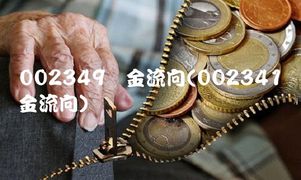 002349资金流向(002341资金流向)