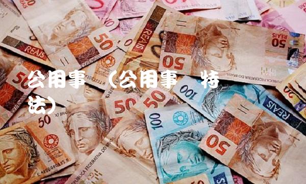 公用事业(公用事业特许经营办法)