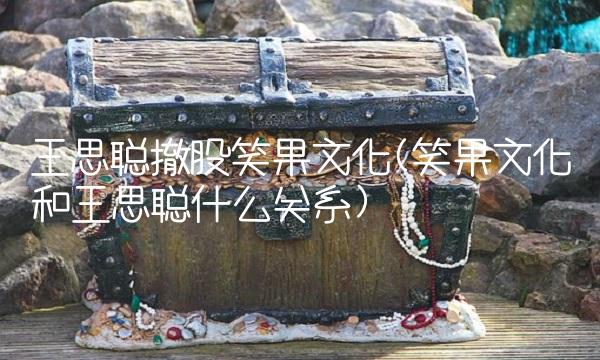 王思聪撤股笑果文化(笑果文化和王思聪什么关系)