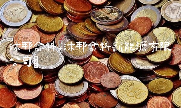 沐邦高科(沐邦高科新能源有限公司)