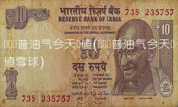 华宝标普油气今天净值(华宝标普油气今天净值雪球)