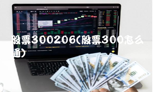 股票300206(股票300怎么开通)