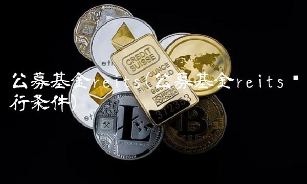 公募基金reits(公募基金reits发行条件)