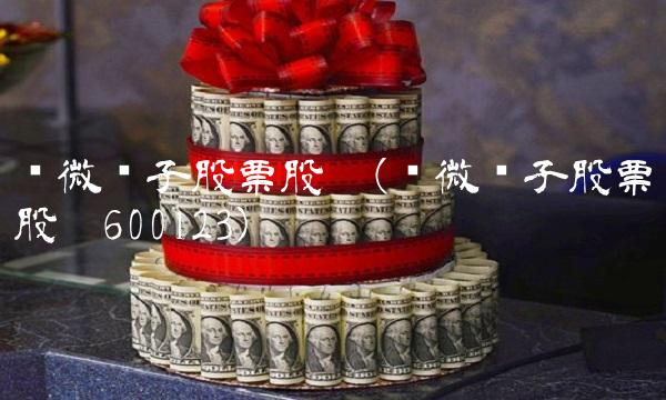 华微电子股票股吧(华微电子股票股吧600123)
