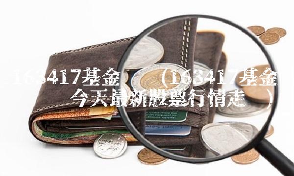 163417基金净值(163417基金净值查询今天最新股票行情走势)