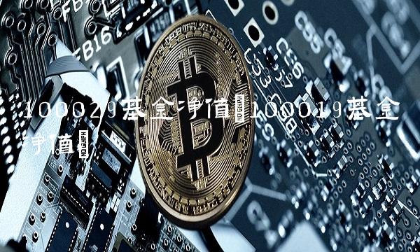 100029基金净值(100019基金净值)