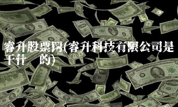 睿升股票网(睿升科技有限公司是干什么的)