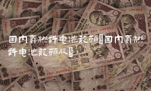 国内氢燃料电池龙头(国内氢燃料电池龙头股)