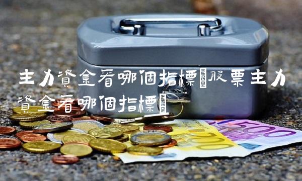 主力资金看哪个指标(股票主力资金看哪个指标)