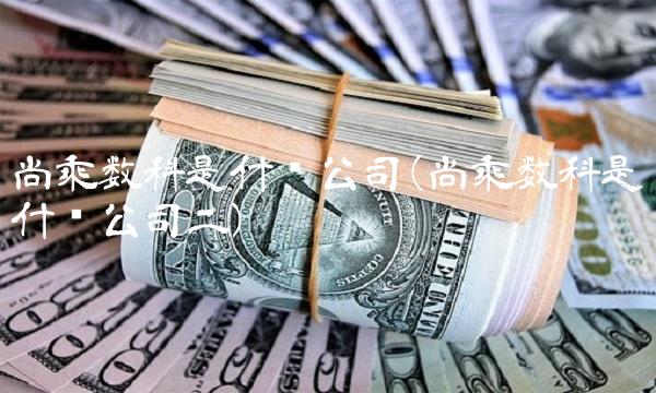 尚乘数科是什么公司(尚乘数科是什么公司二)