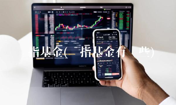 宽指基金(宽指基金有哪些)