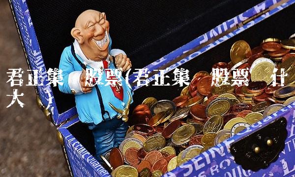 君正集团股票(君正集团股票为什么大涨)