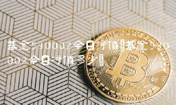 基金590002今日净值(基金590002今日净值多少)