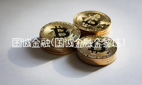国诚金融(国诚金融金黎珏)