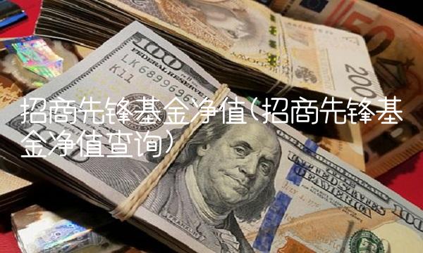 招商先锋基金净值(招商先锋基金净值查询)
