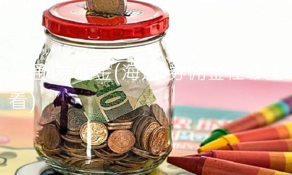 海通证券佣金(海通证券佣金在哪里看)