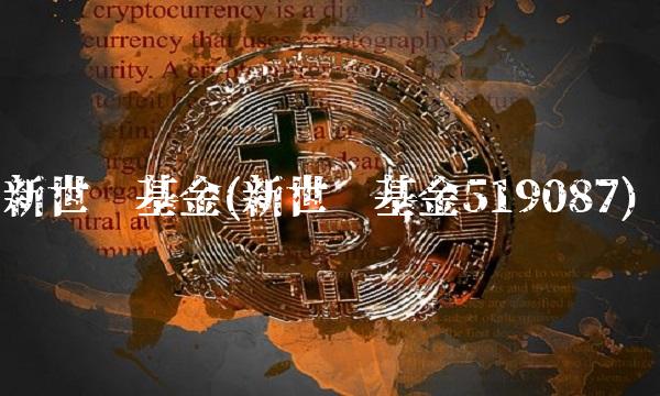 新世纪基金(新世纪基金519087)