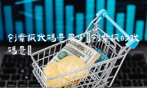 创业板代码是多少(创业板的代码是)