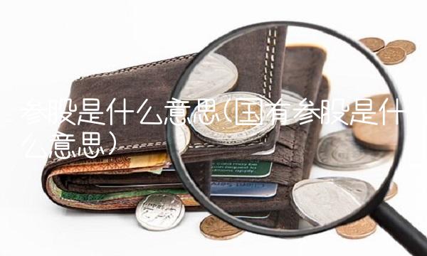 参股是什么意思(国有参股是什么意思)