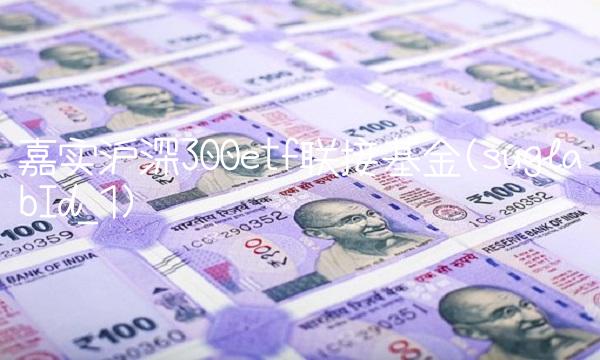 嘉实沪深300etf联接基金(suglabId_1)